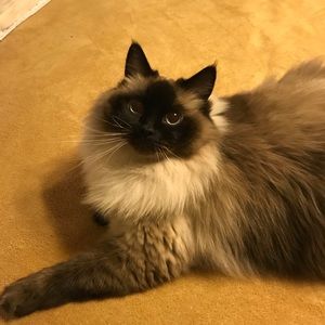 Meet your Posher, Sherri